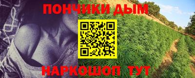 сатива Кулебаки