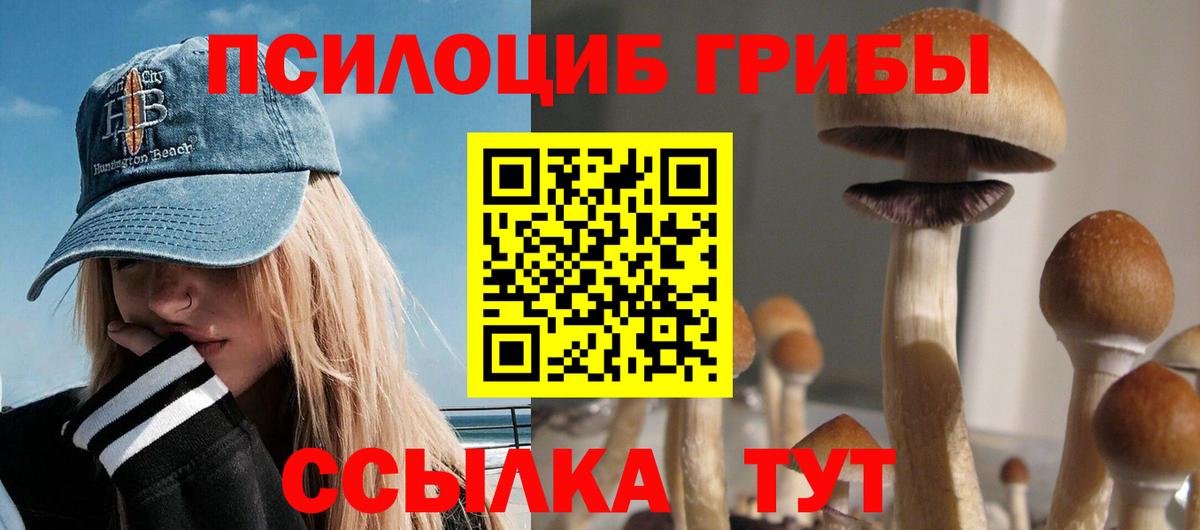 Псилоцибиновые грибы мухоморы Волгодонск
